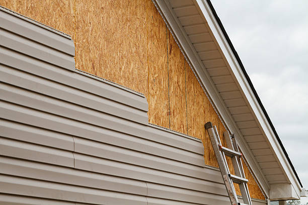 Professional Siding Repair technician working in Trenton, FL